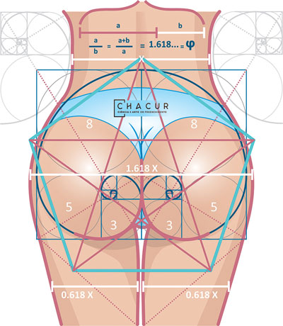 Ilustração anatômica da proporção áurea aplicada ao contorno dos glúteos